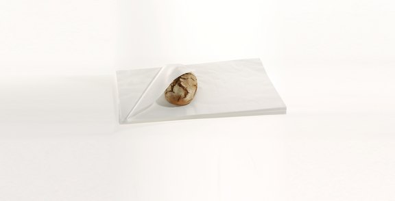 flexslider_backpapier.jpg  