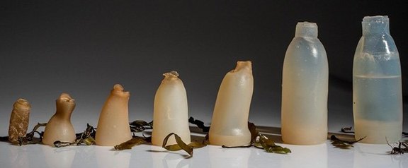 Zerfallsprozess am Beispiel einer Flasche aus Agar-Agar Zerfallsprozess am Beispiel einer Flasche aus Agar-Agar