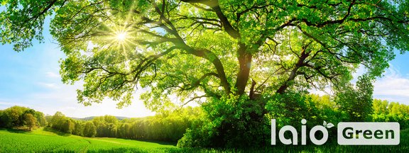 01_Header_generell_Webformate_div._laio_GREEN_Landingpage_NEU.JPG  
