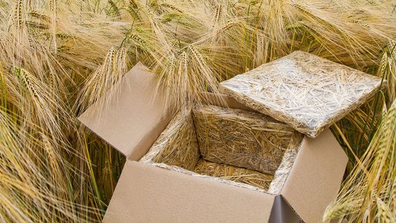 01-karton-im-kornfeld.jpg  