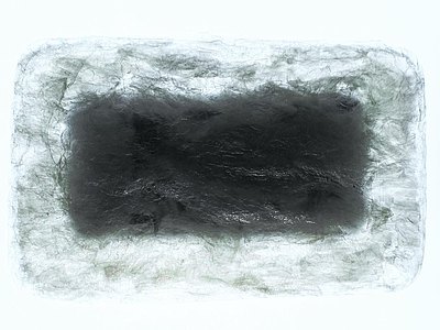 Schutzverpackung aus algenbasiertem Biokunststoff © AMAM Schutzverpackung aus algenbasiertem Biokunststoff © AMAM